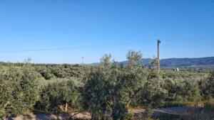img 20260504 184214