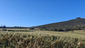 img 20260504 184353